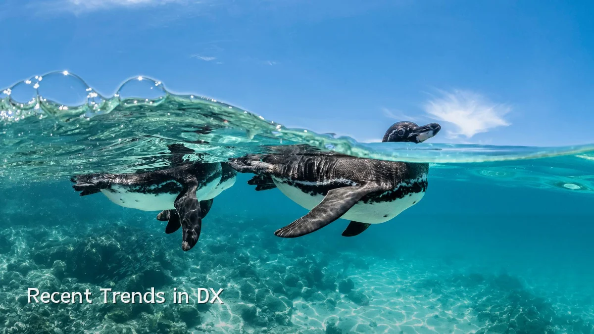 Recent Trends in DX