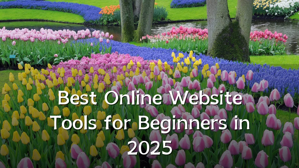 Best Online Website Tools for Beginners in 2025
