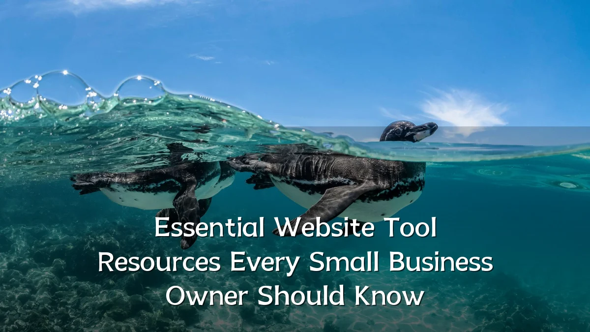 Essential Website Tool Resources Every Small Business Owner Should Know