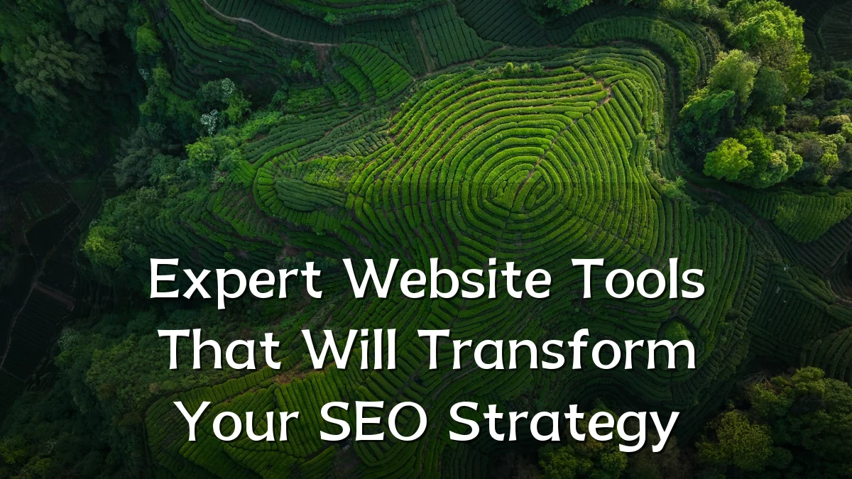 Expert Website Tools That Will Transform Your SEO Strategy