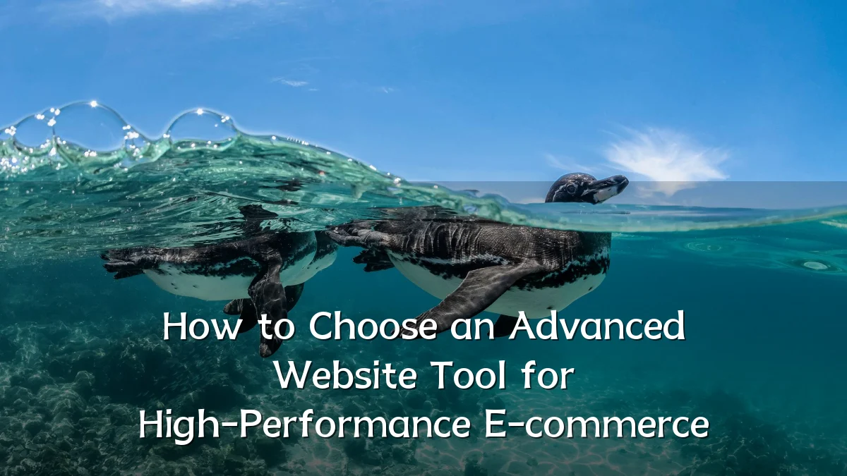 How to Choose an Advanced Website Tool for High-Performance E-commerce