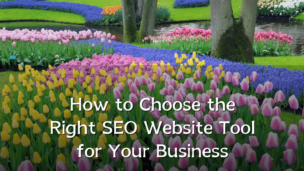 How to Choose the Right SEO Website Tool for Your Business