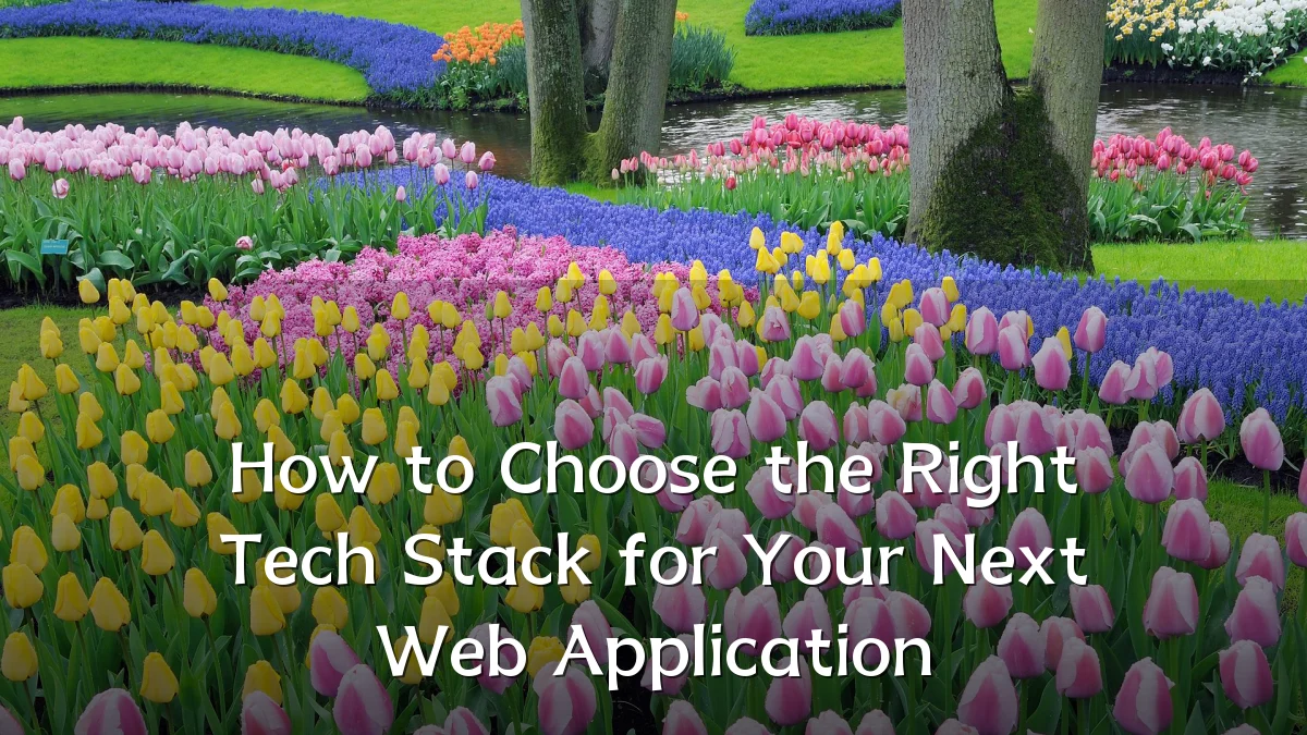 How to Choose the Right Tech Stack for Your Next Web Application