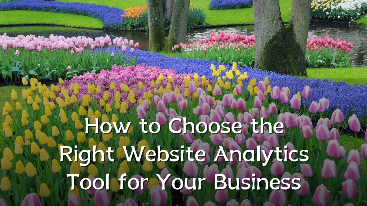 How to Choose the Right Website Analytics Tool for Your Business