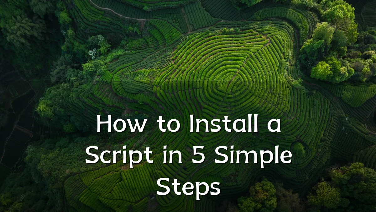 How to Install a Script in 5 Simple Steps