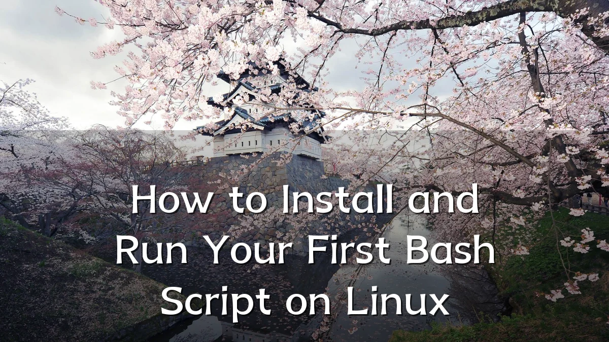 How to Install and Run Your First Bash Script on Linux