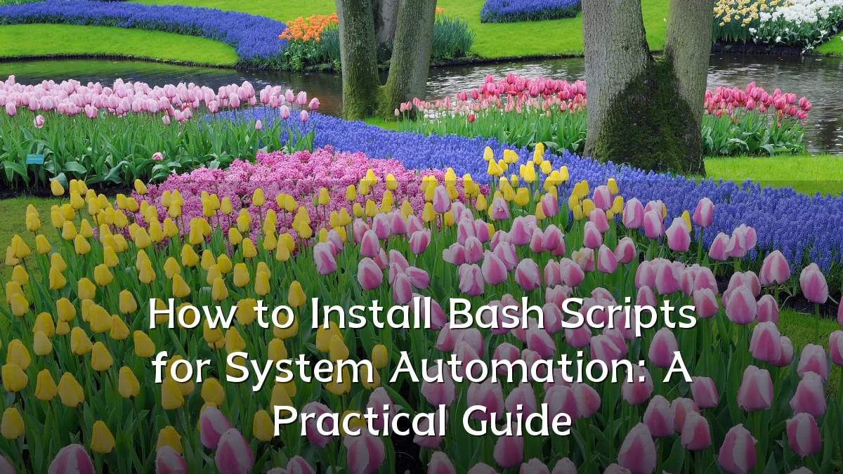 How to Install Bash Scripts for System Automation: A Practical Guide