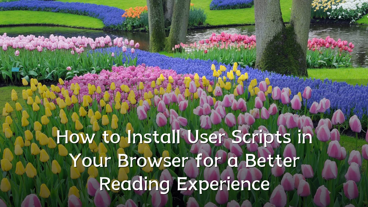 How to Install User Scripts in Your Browser for a Better Reading Experience