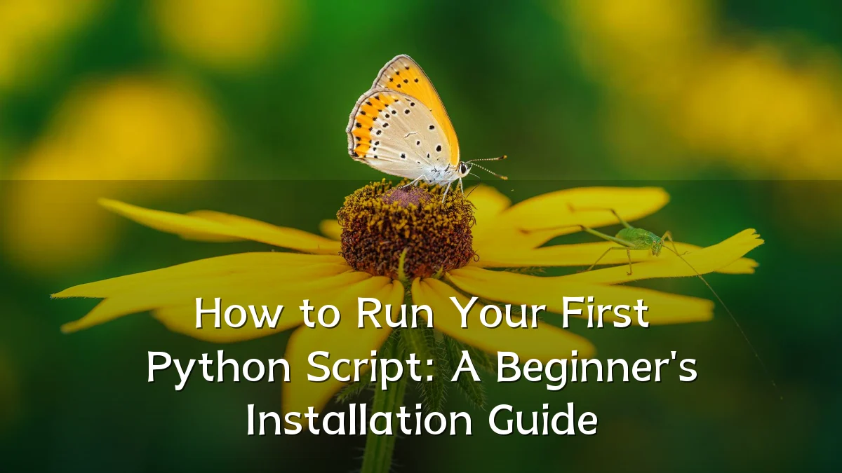 How to Run Your First Python Script: A Beginner's Installation Guide