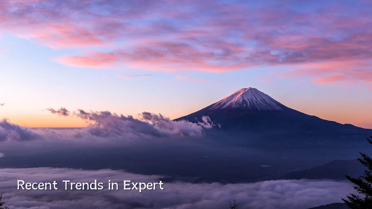 Recent Trends in Expert
