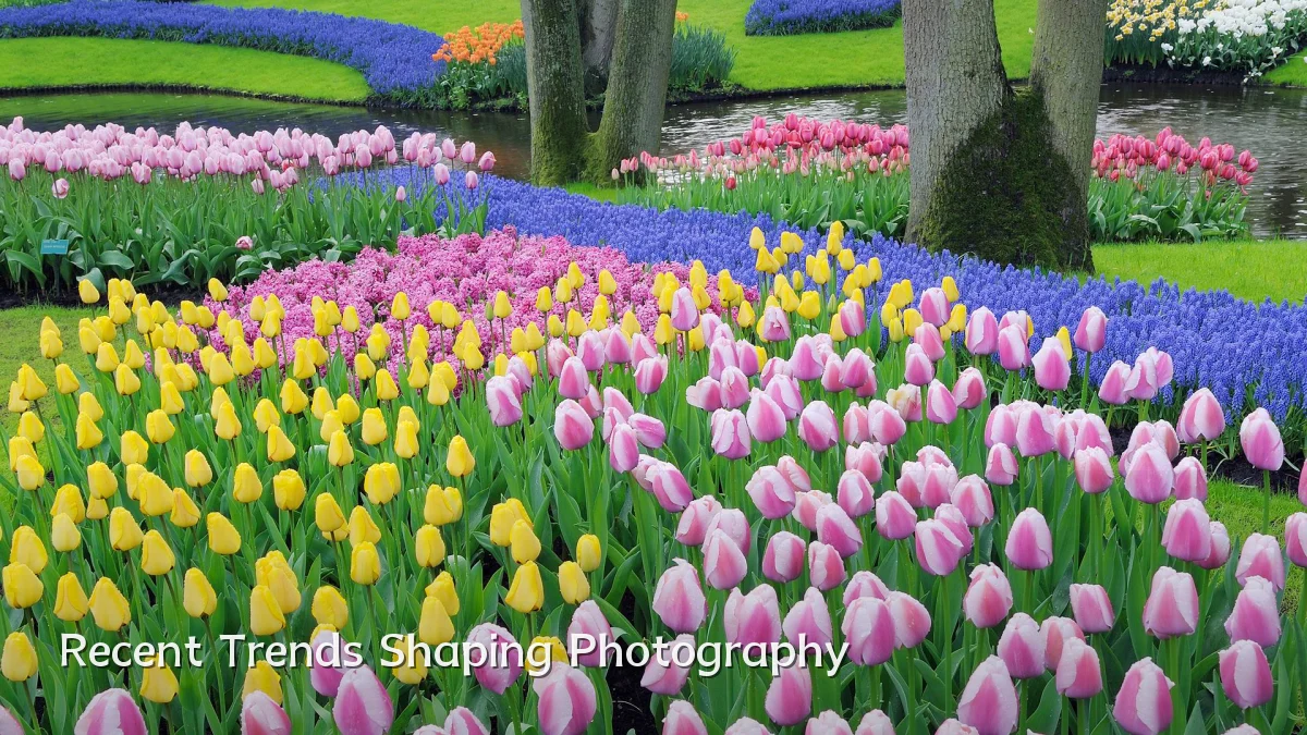 Recent Trends Shaping Photography