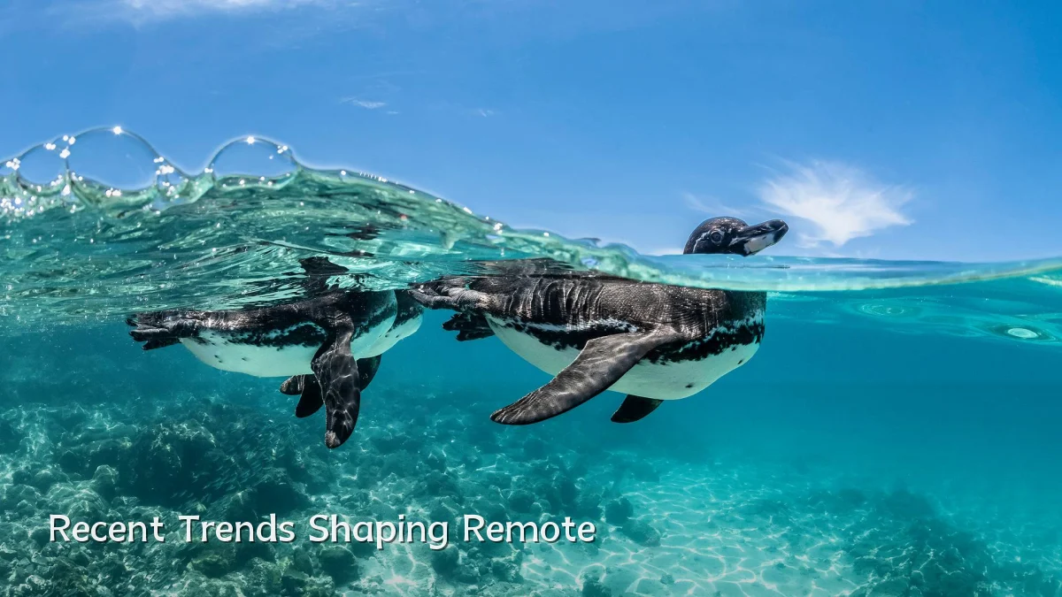 Recent Trends Shaping Remote
