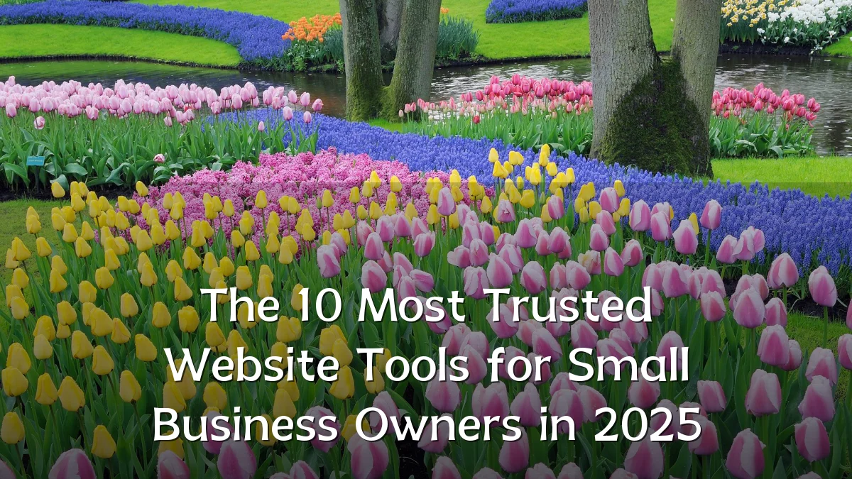 The 10 Most Trusted Website Tools for Small Business Owners in 2025
