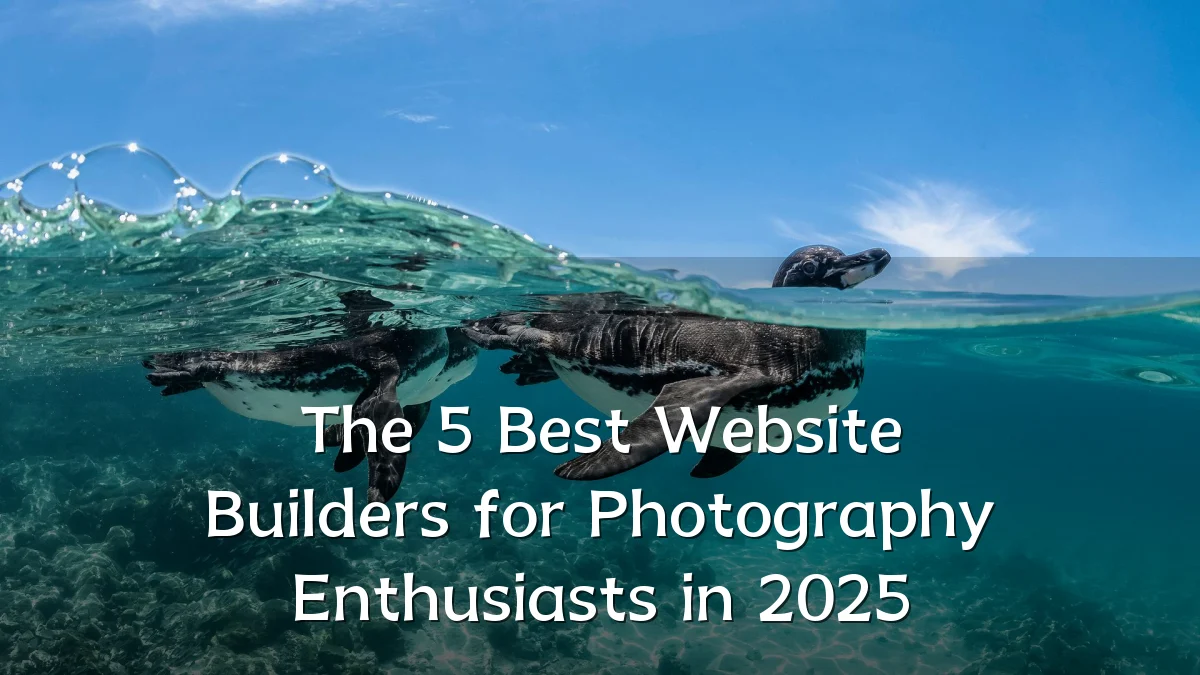 The 5 Best Website Builders for Photography Enthusiasts in 2025