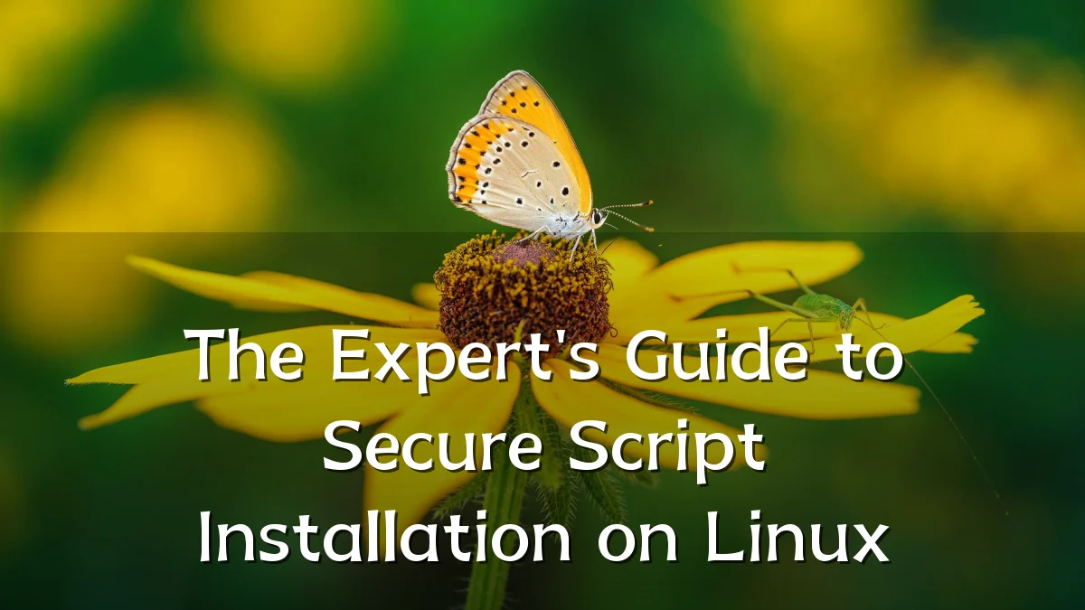 The Expert's Guide to Secure Script Installation on Linux
