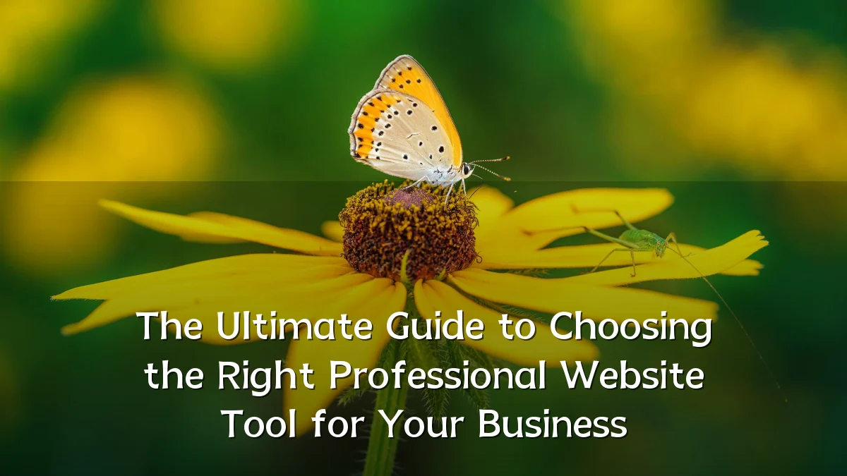 The Ultimate Guide to Choosing the Right Professional Website Tool for Your Business