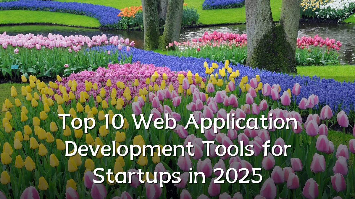 Top 10 Web Application Development Tools for Startups in 2025
