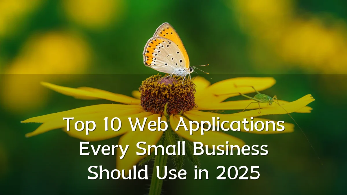 Top 10 Web Applications Every Small Business Should Use in 2025