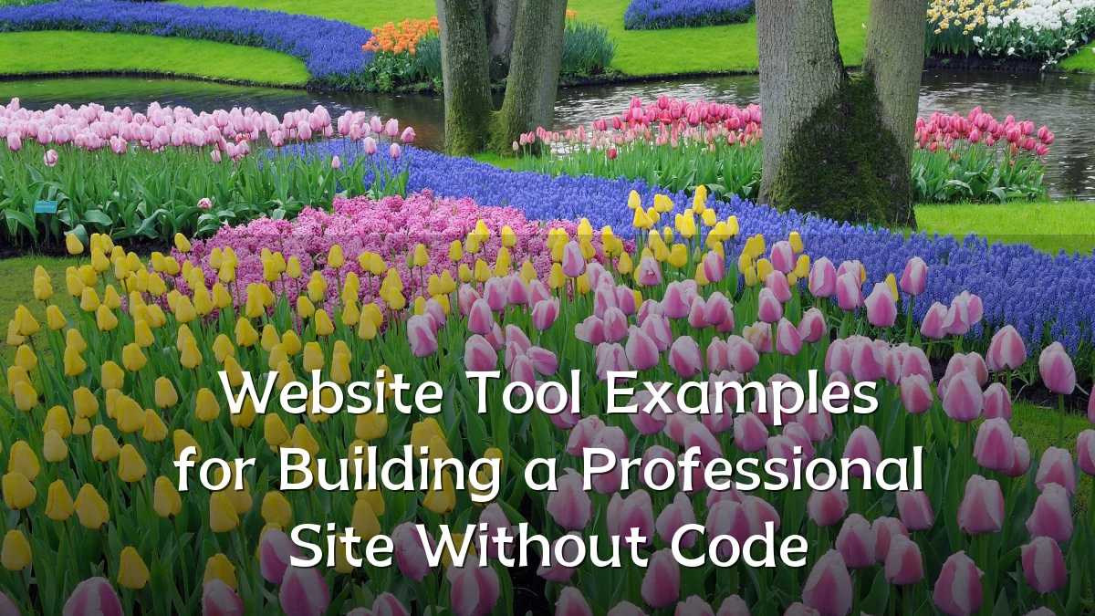 Website Tool Examples for Building a Professional Site Without Code