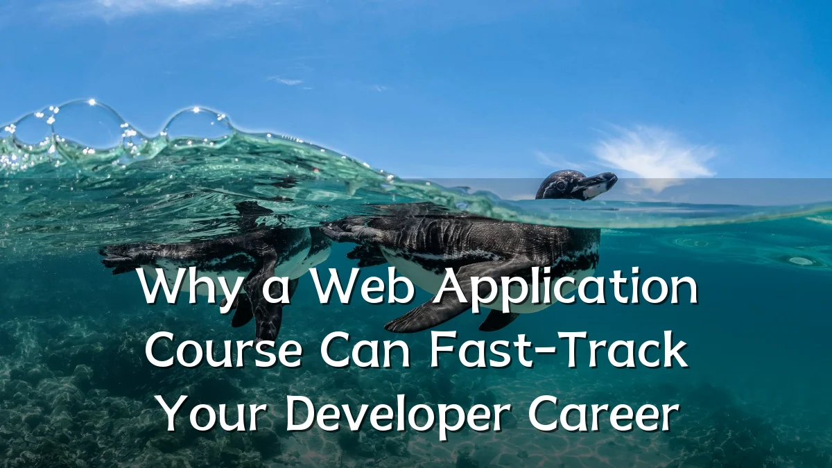 Why a Web Application Course Can Fast-Track Your Developer Career