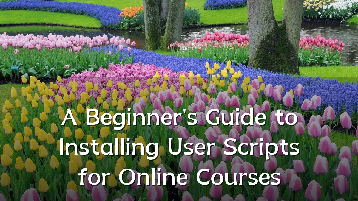 A Beginner's Guide to Installing User Scripts for Online Courses