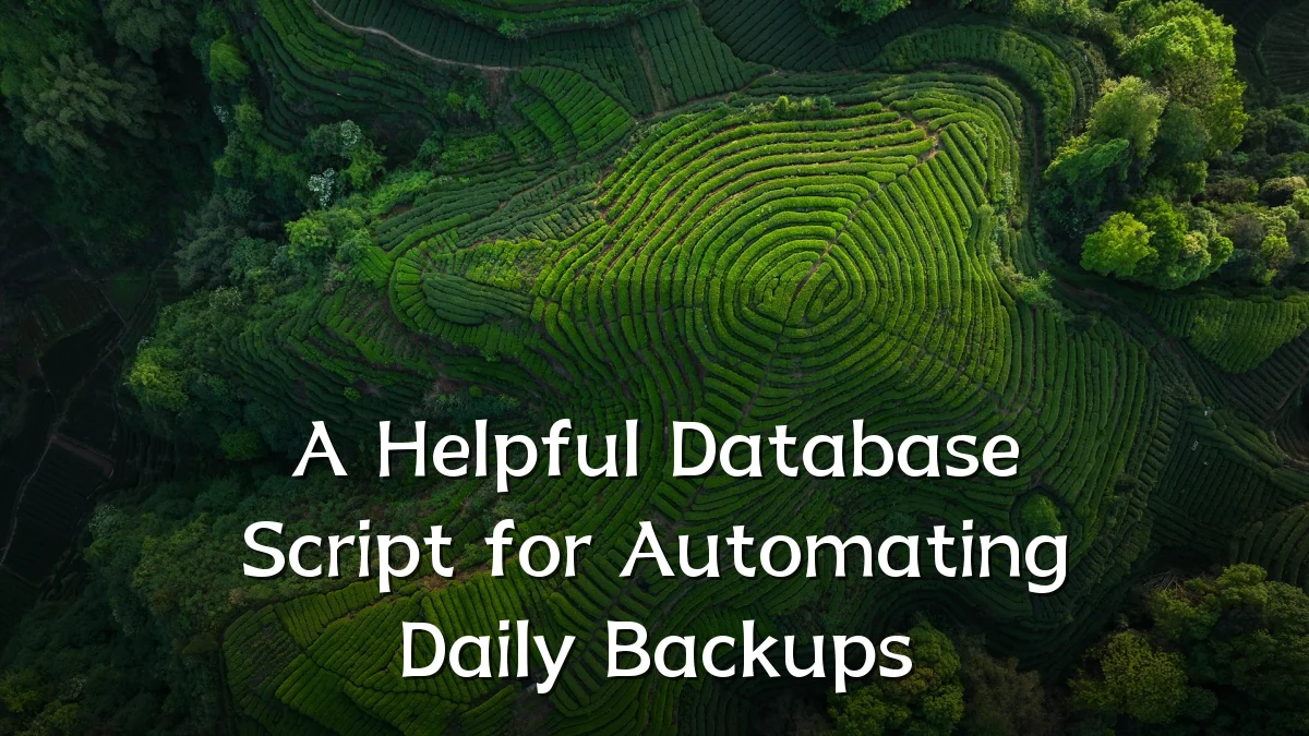 A Helpful Database Script for Automating Daily Backups