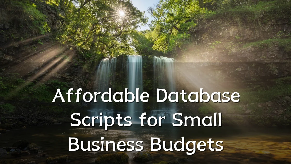 Affordable Database Scripts for Small Business Budgets