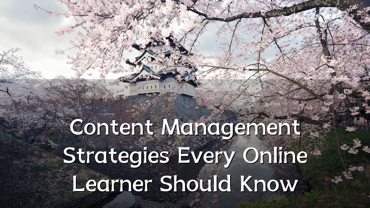 Content Management Strategies Every Online Learner Should Know