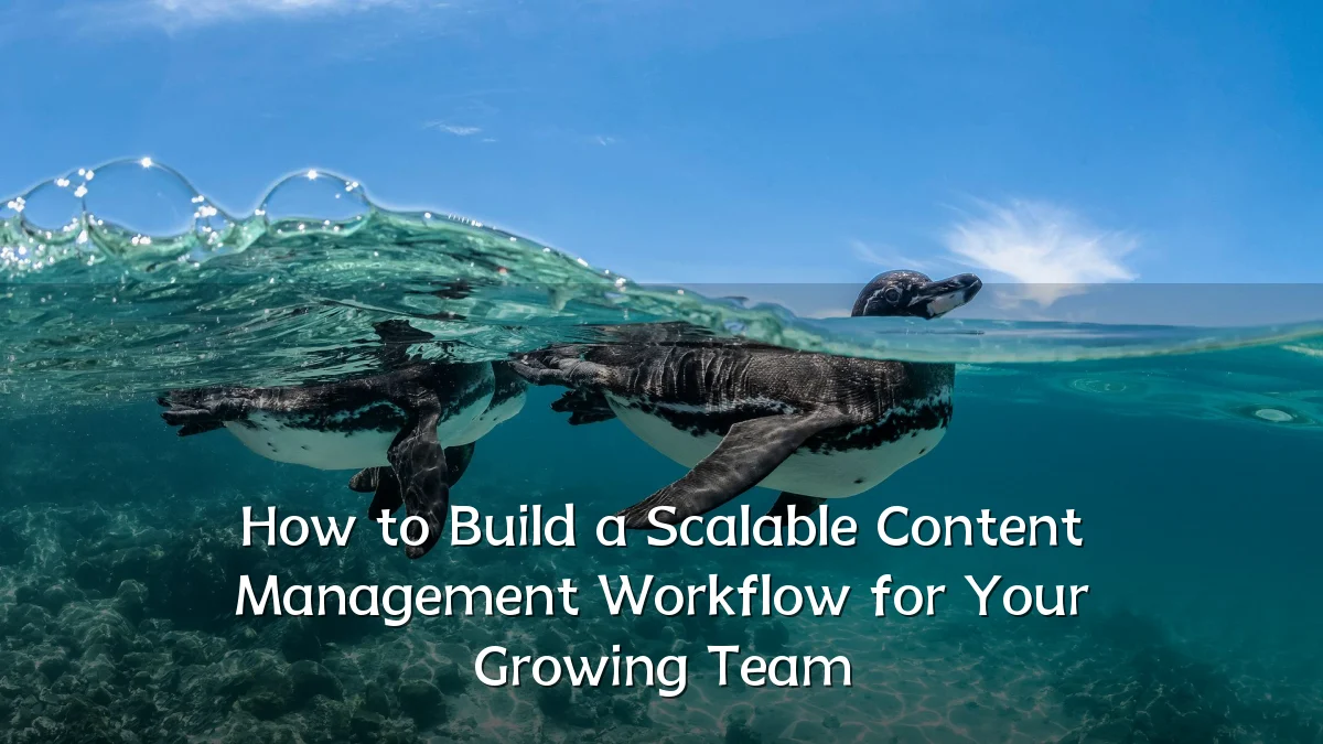 How to Build a Scalable Content Management Workflow for Your Growing Team