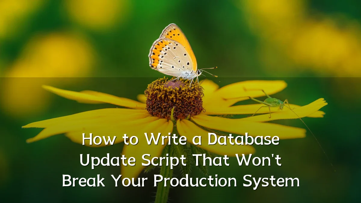 How to Write a Database Update Script That Won't Break Your Production System