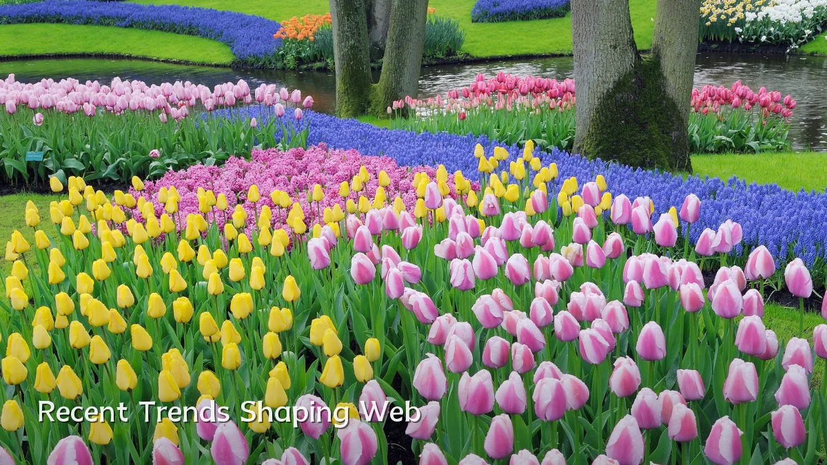 Recent Trends Shaping Web