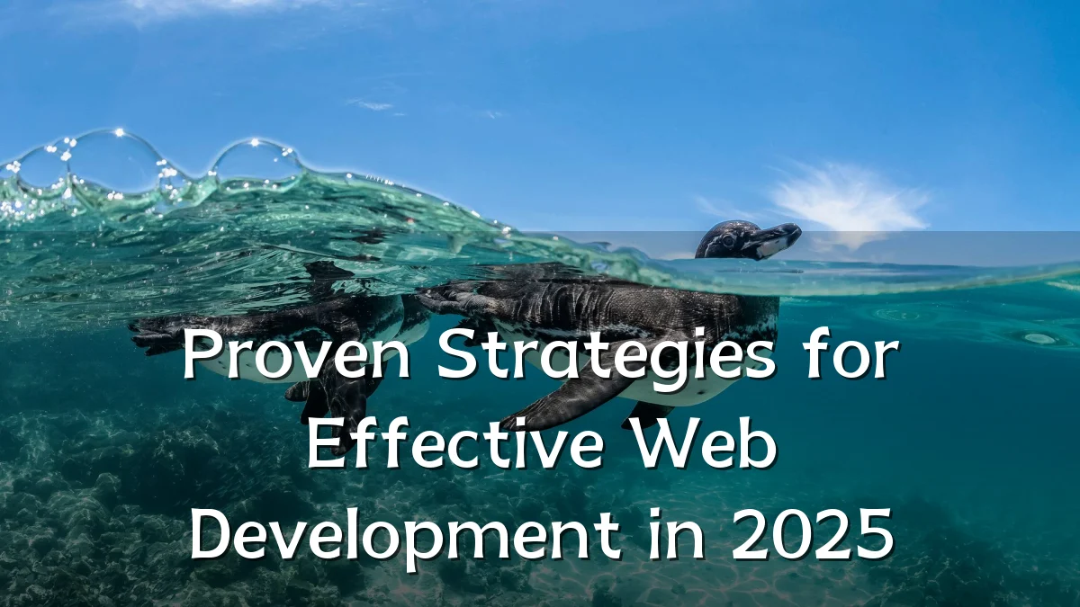 Proven Strategies for Effective Web Development in 2025