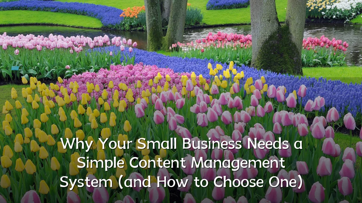 Why Your Small Business Needs a Simple Content Management System (and How to Choose One)