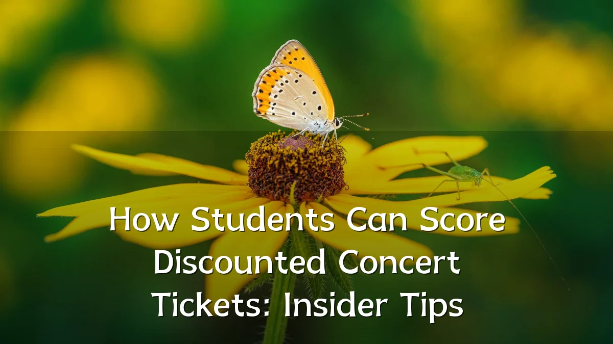 How Students Can Score Discounted Concert Tickets: Insider Tips