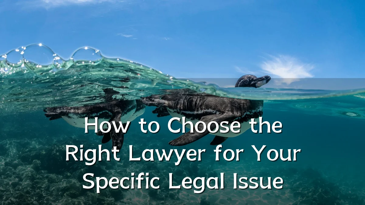 How to Choose the Right Lawyer for Your Specific Legal Issue